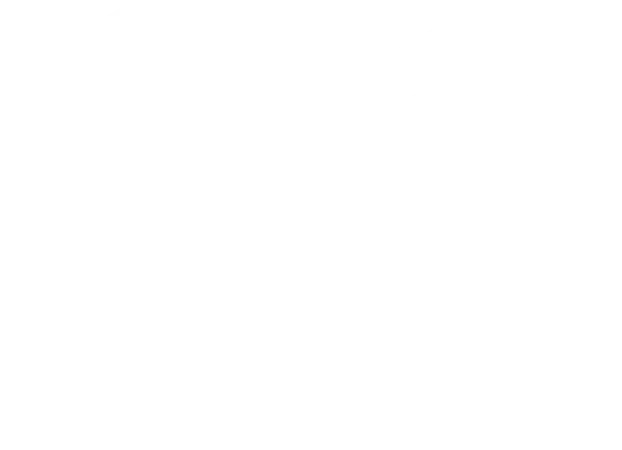 bec-chevrons-white